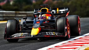 Max Verstappen (Red Bull)