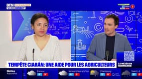 Tempête Ciaran: une aide pour les agriculteurs normands