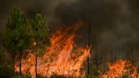 Incendie à Saint-Magne, le 11 août 2022 en Gironde.