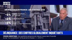 Chiffres de la délinquance: "On met le délinquant au cœur du dispositif et on ne s'occupe qu'après des victimes", pointe Philippe Ballard, porte-parole du RN