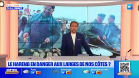 Bonjour Lille du vendredi 14 novembre 2025