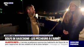 Golfe de Gascogne: les pêcheurs à l'arrêt pour protéger les dauphins 