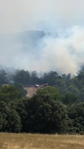 Incendie de forêt dans le Var - Témoins BFMTV
