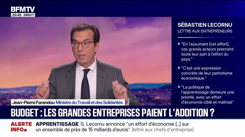 Un effort économique sur un ensemble de près de 15 milliards d'euros dans l'apprentissage: Jean-Pierre Farandou, ministre du Travail, explique cet effort sur BFMTV