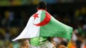 Un drapeau de l'Algérie, illustration
