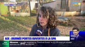 Aix-en-Provence: journée portes ouvertes à la SPA