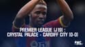 Résumé : Crystal Palace - Cardiff City (0-0) - Premier League