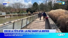 Lyon: l'association Paz demande les comptes du zoo