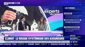 Les experts du soir - Mardi 14 novembre