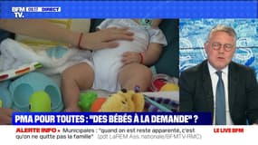 PMA pour toutes: "Des bébés à la demande" ? (1/3) - 10/09