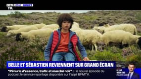 "Belle et Sébastien" revient au cinéma mercredi