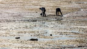 Des pêcheurs en Charente-Maritime, en juin 2024. (Illustration)