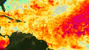 Image satellite de la Nasa mettant en évidence les écarts de température par rapport aux normales dans l'Océan atlantique Nord. Plus une zone s'approche du rouge, voire du violet, plus il y fait chaud. Plus elle s'approche du vert voire du bleu, moins elle l'est.