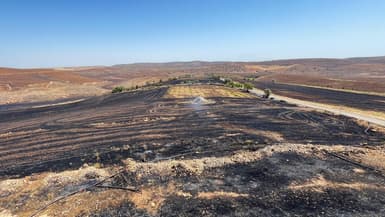 Un champ brûlé après qu'un incendie de forêt ait balayé deux zones situées entre les districts de Diyarbakir et de Mardin dans le sud-est de la Turquie, le 21 juin 2024.