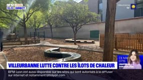 Villeurbanne lutte contre les îlots de chaleur dans ses écoles