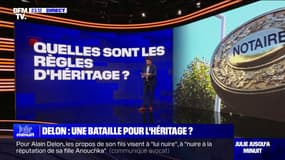 LES ÉCLAIREURS - Quelles sont les règles d'héritage en France?