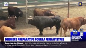 Derniers préparatifs pour le retour de la Feria d'Istres
