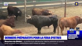 Derniers préparatifs pour le retour de la Feria d'Istres