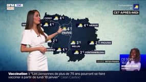 Météo Paris-Ile de France du 8 janvier: Temps hivernal