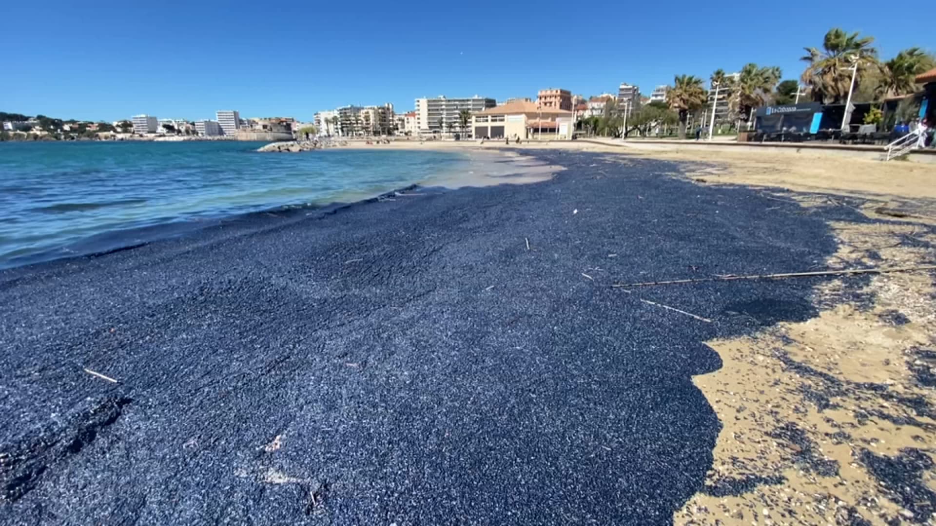 De nombreuses vélelles sur la plage du Mourillon à Toulon ce lundi 1er avril.