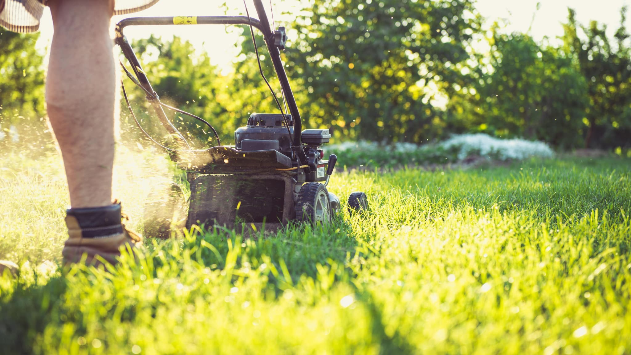 C’est quoi une tondeuse thermique ? Les informations à savoir