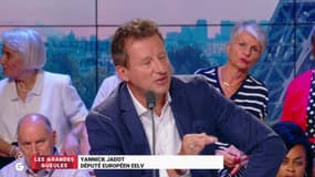 "Ma femme est libre et indépendante !" : Yannick Jadot réagit au soutien d’Isabelle Saporta à Gaspard Gantzer 