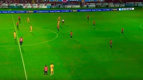 Les Tigres de Gignac face à des adversaires immobiles