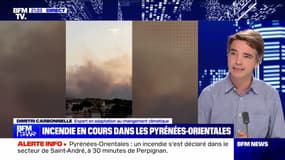 Incendie en cours dans les Pyrénées-Orientales (2) - 14/08