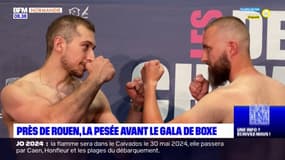 Près de Rouen: ce samedi, premier gala de boxe anglaise