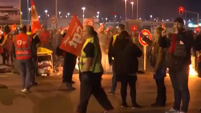 Opération surprise à Rungis, le 9 juin 2016.