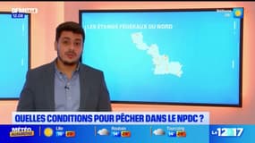 Hauts-de-France: quelles conditions pour pêcher? 