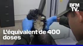Un Colombien arrêté à l'aéroport avec de la cocaïne cachée sous une perruque 