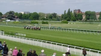 Les pronos hippiques du lundi 19 juin 2023
