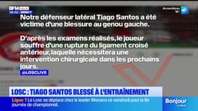 Losc: Tiago Santos blessé à l'entraînement