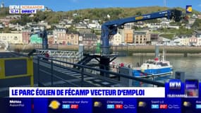Seine-Maritime: le parc éolien de Fécamp va permettre la création d'emplois
