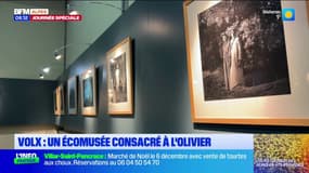 L'olivier a son propre écomusée à Volx