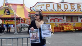 Une manifestante appelant au boycott des cirques avec animaux sauvages, lors d'une manifestation en 2014. (photo d'illustration)
