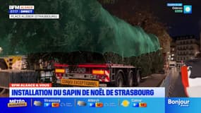 BFM Alsace et vous: le sapin de Noël en cours d'installation à Strasbourg