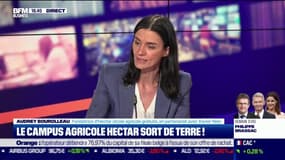 Audrey Bourolleau, Fondatrice d'Hectar, l'école agricole gratuite: "ce sont des métiers de sens qu'il faut rendre rémunérateurs"