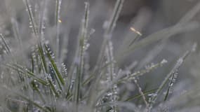 De l'herbe gelée à Saint-Philbert-sur-Risle, dans l'Eure, le 2 décembre 2023
