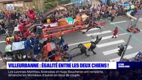 Villeurbanne: égalité pour les deux chiens géants de la compagnie Royal de Luxe