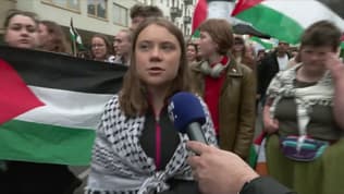 La militante Greta Thunberg dans une manifestation pro-palestinienne.