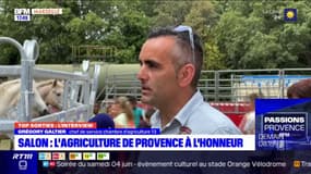 Salon des agricultures de Provence: une cinquantaine d'animations sont prévues tout au long du week-end