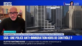 "C'est l'ICE et son comportement qui est dénoncé, pas la politique anti-immigratoire" assure Romuald Sciora de l'IRIS