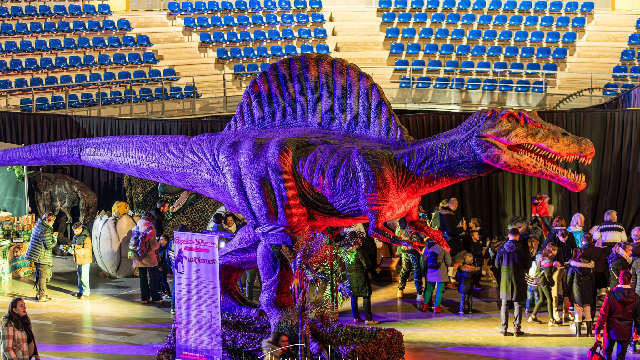 TROYES: PLUS DE 100 DINOSAURES GRANDEUR NATURE AU MUSÉE ÉPHÉMÈRE CE WEEK-END