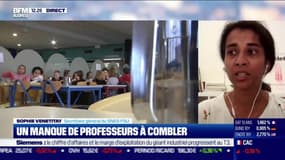 Sophie Vénétitay (SNES-FSU) : Hausse du budget de l'Éducation nationale - 11/08