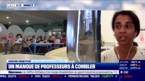 Sophie Vénétitay (SNES-FSU) : Hausse du budget de l'Éducation nationale - 11/08