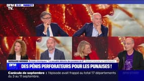 Story 4 : Punaises de lit, du poil à gratter pour Beaune - 04/10