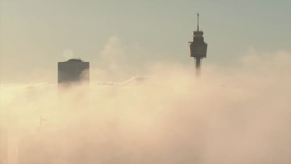 La ville de Sydney a été enveloppée ce lundi 25 juillet matin par un épais brouillard.