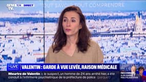 Valentin, poignardé à mort à Paris: le suspect placé en hôpital psychiatrique